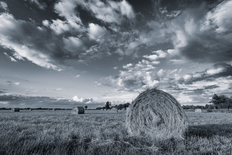 Worpsweder Himmel im Spätsommer - Schwarzweißfotografie