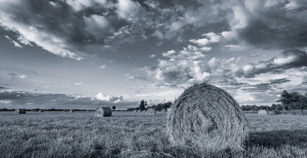 Worpsweder Himmel im Spätsommer - Schwarzweißfotografie
