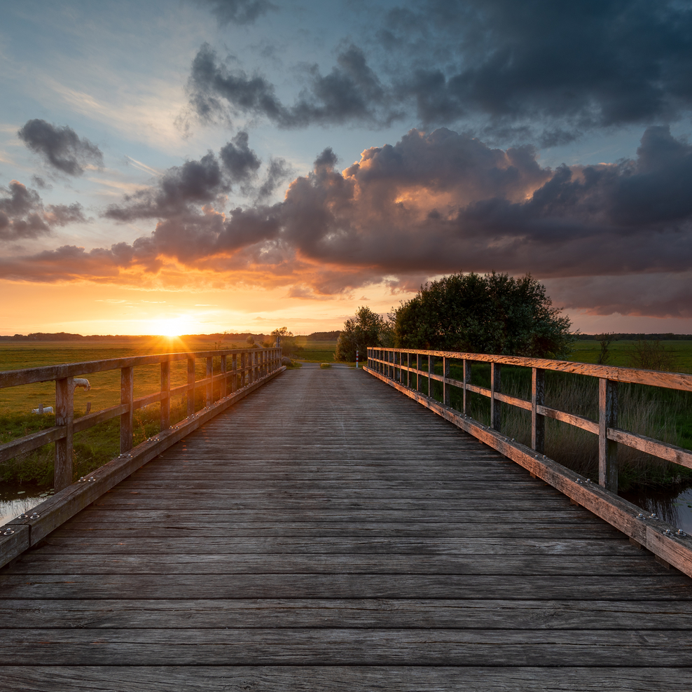 Sonnenuntergang an der Pionierbrücke